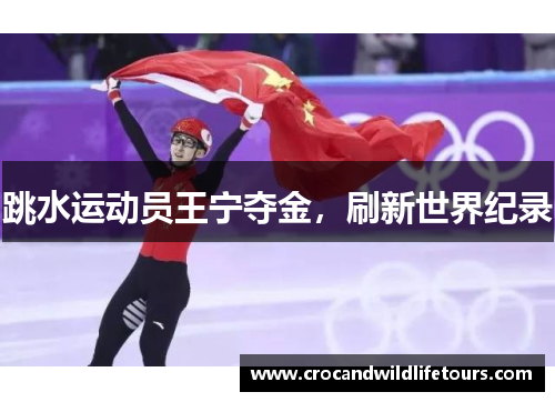 跳水运动员王宁夺金，刷新世界纪录