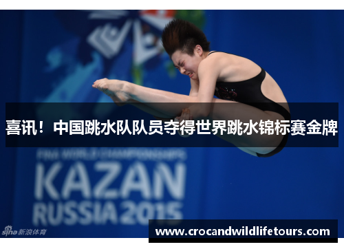 喜讯！中国跳水队队员夺得世界跳水锦标赛金牌